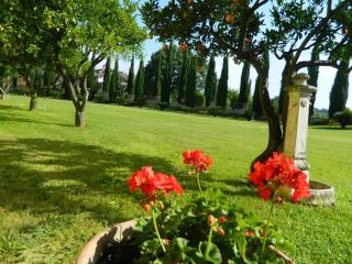 Villa Lucilla - Altavilla Silentina - 6