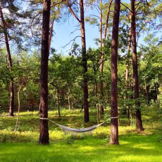 Planeta Glamping - Zalesie Górne - 6