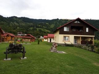 Casa Prundari Nicu și Mirela - 6