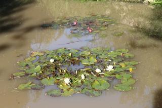 Gite 4 places, le Domaine de la Vallée - 6