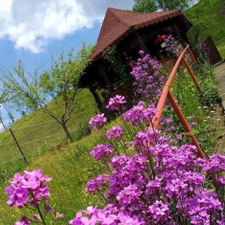 Pensiunea Agroturistica Stefan Viorica - Monastero di Moldovița - 6