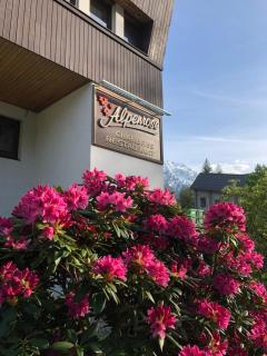 Alpenrose Chamonix - 6