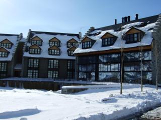 Apartamentos HG Cerler - 2