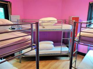 The Phoenix Hostel Paddington - Londen - 1
