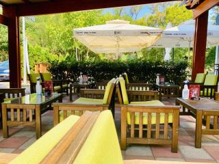 Sunny Parkside Apartment - Bar - 3