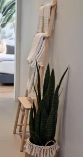 Vera Cruz Suite Apartment - Aveiro - 4