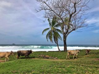 El Hongo Finca Hostal / Camping - 2