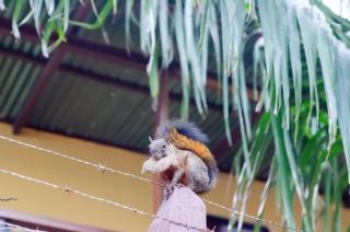 El Hongo Finca Hostal / Camping - 1