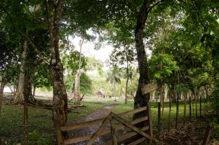 El Hongo Finca Hostal / Camping - 6