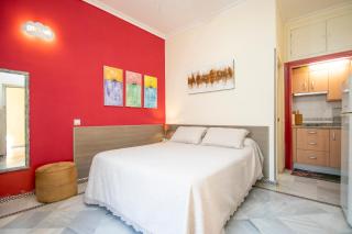 Apartamento tranquilo y con encanto en Palacio Sevillano, junto Catedral A Acond y WIFI - Siviglia - 8