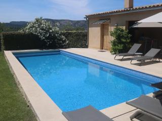 Luxury villa with private swimming pool - Malaucène - 4