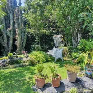 cozy mini loft near COLMEX FLACSO - 4