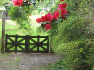 Refúgio da Mata Ibiúna Petfriend - 0