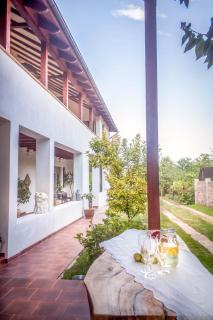 Cotton Loft - Alba Iulia - 9