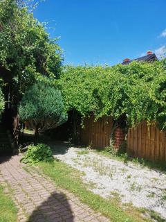 Apartament Forest - 8