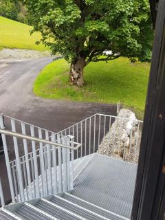 Appartement Mühlebnerhof - 3