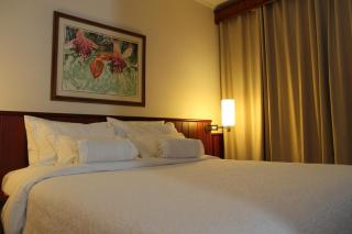 Sorocaba Park Hotel by Atlantica - Sorocaba - 8