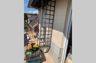 Vintage Apartment WOLF im Wadrilltal - Balkon Garten - 4