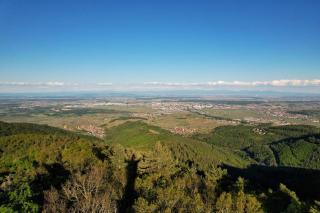 Le Petit Pèlerin - 1