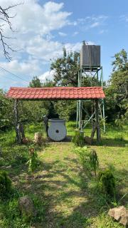 Sergieti Guesthouse - 2