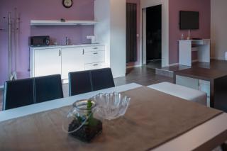 Hana - Apartments - Liubliana - 3