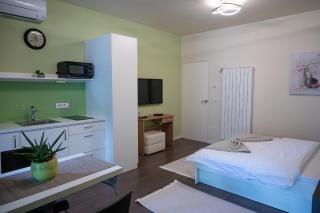 Hana - Apartments - Liubliana - 9