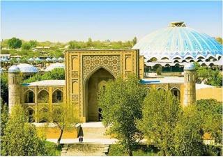 Spacious and Cozy - Tashkent - 0