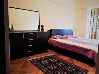 Spacious and Cozy - Tashkent - 1