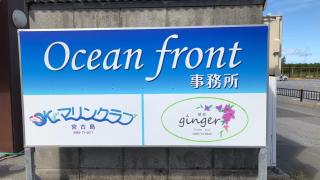 ジンジャー - Miyakojima - 1