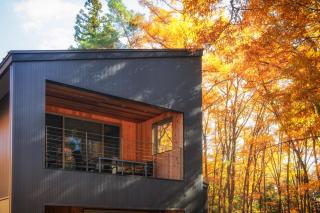 Phoenix Cocoon by HHG - Hakuba - 4