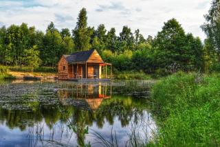 heather hut, off-grid cottage on a pond+2 ha - 0