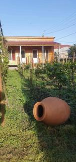 Cottage and Gigo Papa's Wine Cellar - Kvareli - 0