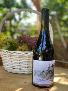 Yeganyans Guest House and Wine Yard - Ashtarak - 1