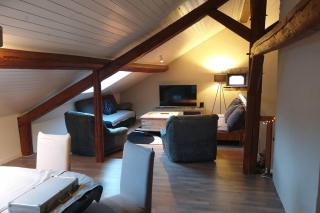 Ferme des molieres avec espace détente - Mortagne - 2