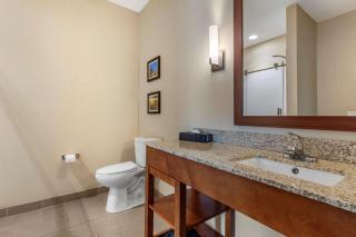 Comfort Inn & Suites - Edgewood - 2