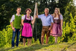 Weingut-Gästehaus Birnstingl - Gamlitz - 2