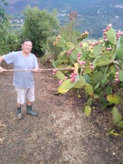 Barone Montefeo - Librizzi - 1