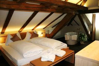 Gasthaus zur Waldegg - Lucerna - 9