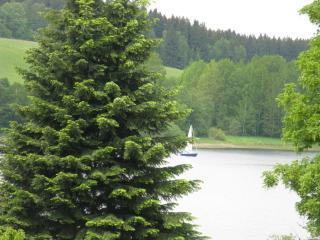 Apartmany u Lipno - Frymburk nad Vltavou - 6