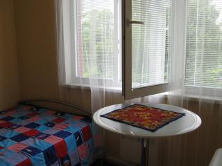 Apartmany u Lipno - Frymburk nad Vltavou - 4
