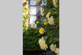 La ferme du coustal - Vialot - 5