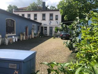 Kunstoase am blauen Haus - 0
