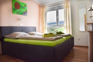 Böhmerwald pur - Haus1 mit eigener Sauna! - 8