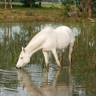 Casa de campo cerca del Cabo - 1