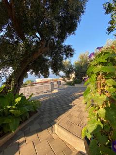 Tole Villa Podaca 2 with heated Pool - Podaca - 8