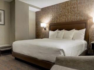 Kahler Grand Hotel - Rochester - 7