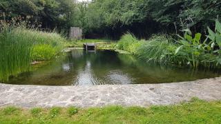 Roulotte climatisée avec piscine naturelle - 6