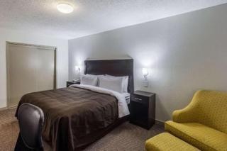 Clarion Inn near McAllen Airport - McAllen - 3