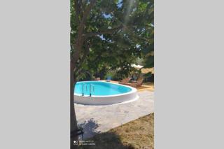 ΑΡΧΟΝΤΙΚΟ ΣΤΟΥΣ ΠΡΟΠΟΔΕΣ ΤΟΥ ΟΡΟΥΣ ΔΙΡΦΥΣ - Loútsa - 9