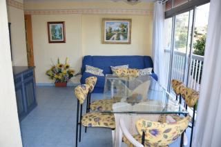 Apartamento en el Paseo Marítimo de Benidorm - Benidorm - 6